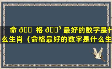 命 🐠 格 🌳 最好的数字是什么生肖（命格最好的数字是什么生肖女）